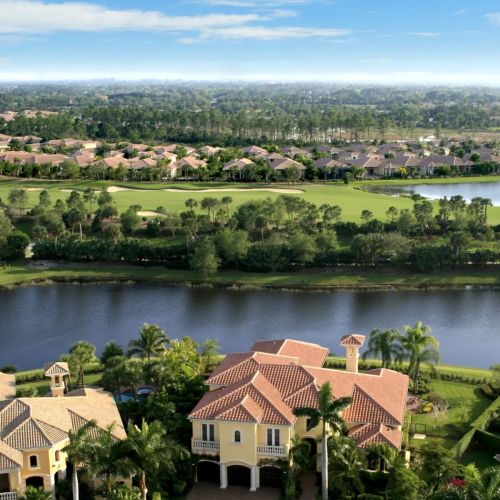 Untitled (20 x 12 in)